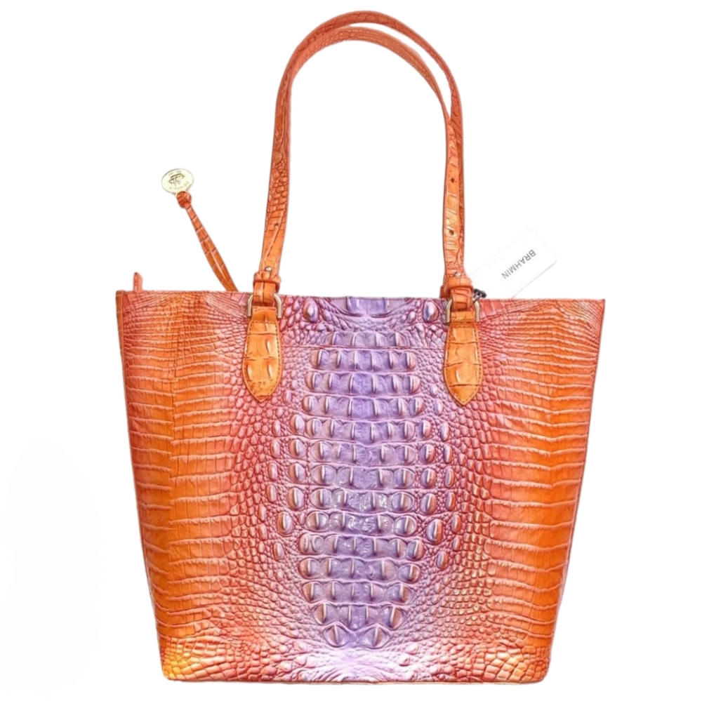 Brahmin Ellen Daiquiri Ombre Melbourne Tote Bag